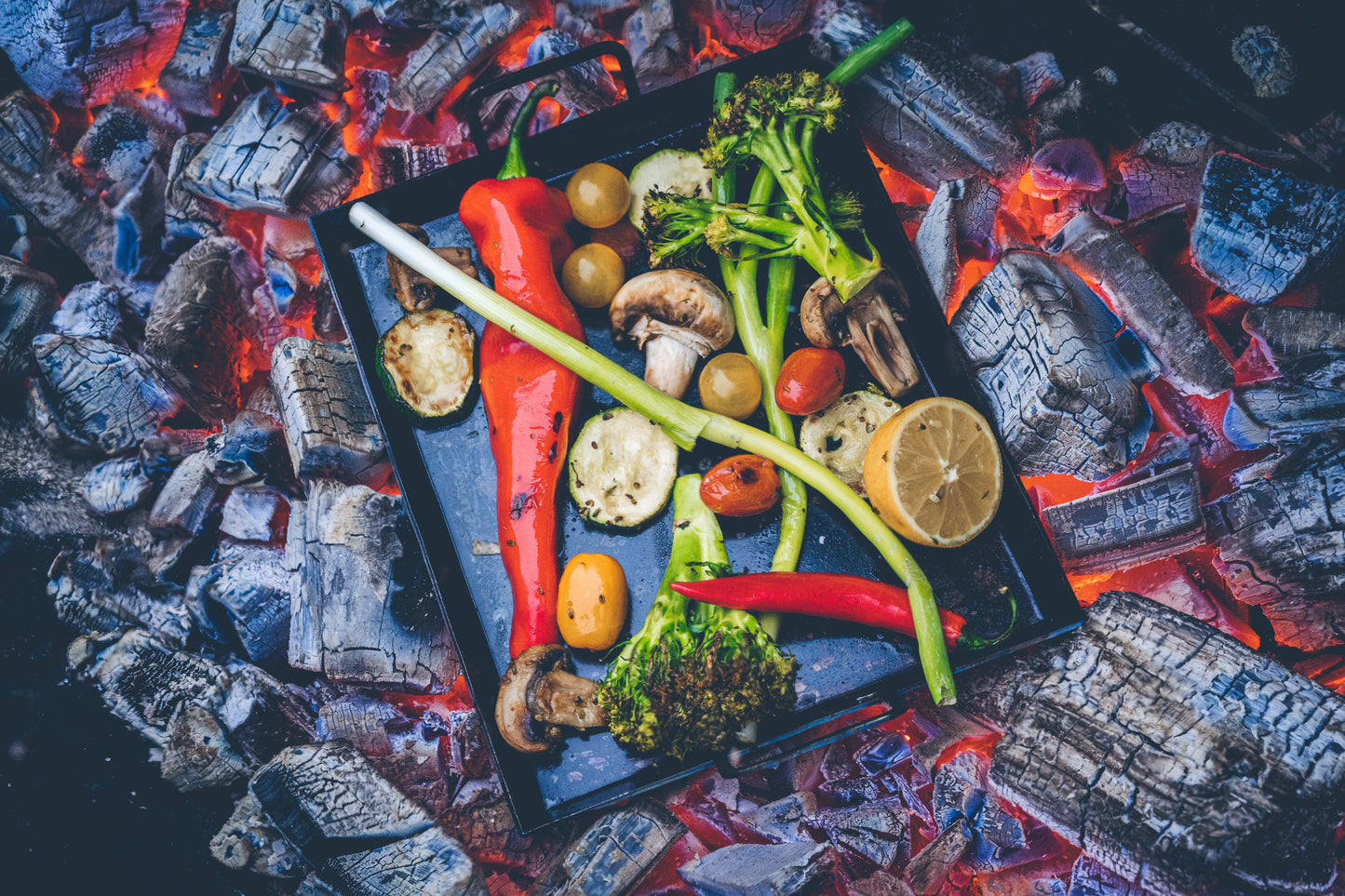 STEKBLECK FJÄDERHOLMARNA 25 CM x 20 CM