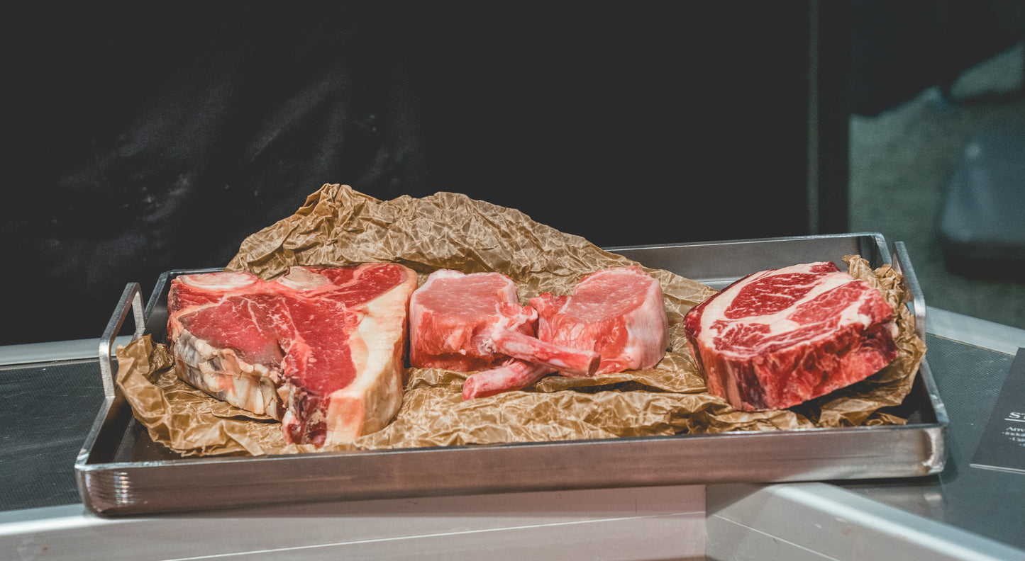 STEKBRICKA STEN STURE